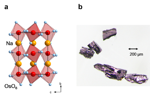 「プレスリリースの図1 : 　オスミウム酸化物 (NaOsO3) の結晶構造の模式図 (a) と単結晶の光学顕微鏡写真 (b)」の画像