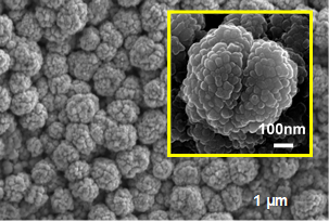 「プレスリリースの図1 : 　新しいリチウムイオン二次電池用負極材料として開発したナノ構造からなるシリコン系金属化合物の電子顕微鏡像.」の画像