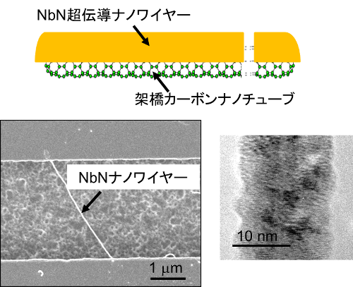 「プレスリリースの図1 : 　カーボンナノチューブテンプレートによる超伝導ナノワイヤー成長上図 : 架橋カーボンナノチューブ上の超伝導ナノワイヤー成長の模式図。左下図 : 成長したNbN超伝導ナノワイヤーの走査型電子顕微鏡像の例。上下にある電極間に長さ数µmのナノワイヤーが形成されている。右下図 : NbN超伝導ナノワイヤーの透過型電子顕微鏡像 (幅17 nmの例) 。極細にもかかわらず、途切れることなく均一にNbNが成長している。」の画像