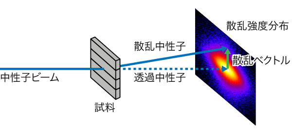 「プレスリリースの図1 : 　中性子小角散乱実験の概念図。試料中で散乱された中性子の強度分布を2次元検出器で検出する。」の画像