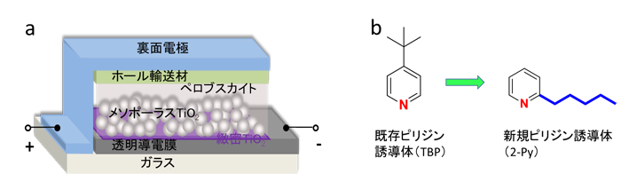「プレスリリースの図1a :  順セル構造ペロブスカイト太陽電池の模式図、b : ピリジン誘導体の分子構造 (左) と青色で示すアルキル基のついた新規ピリジン誘導体の分子構造 (右) 。」の画像