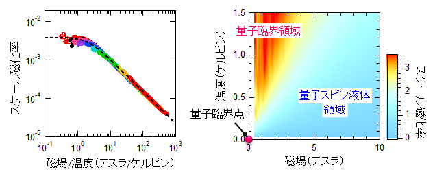 「プレスリリースの図2:  (左) 磁化率のスケーリングプロット。縦軸はスケールされた磁化率を表し、曲線の色は測定した条件の違いを表します。広い温度・磁場範囲で磁化率が単一の曲線 (点線) に乗ることが分かります。 (右) 温度—磁場相図。図の赤い領域 (量子臨海領域) で、磁化率が絶対零度、ゼロ磁場に向けて臨界挙動を示します。この磁化率の振る舞いを特徴付ける臨界指数は、今までの理論では説明できないものです。」の画像
