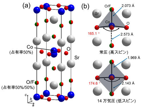 「プレスリリースの図1: (a) Sr2CoO3Fの常圧下における結晶構造。頂点サイトの酸素とフッ素原子は無秩序に分布し、それを反映してコバルト原子もc軸に沿ってサイト分離する。(b) 常圧および高圧下におけるCo周辺の配位環境。簡単のため、サイト分裂したCo原子の1つは省略している。」の画像