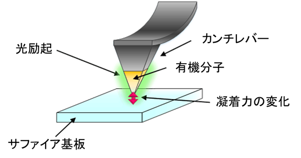 「プレスリリースの図1: 光照射による分子と基板間の摩擦力測定のイメージ」の画像