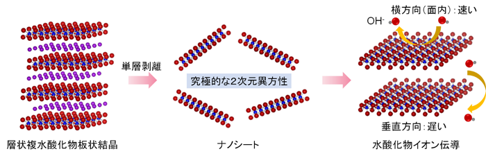 「プレスリリースの図1: 層状複水酸化物板状結晶を最小基本単位である層1枚にまで剥離したナノシートが高い異方性イオン伝導特性を示す。」の画像