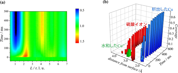 「プレスリリースの図1: (a) Au(111)表面上におけるCu2+アンダーポテンシャル析出時のCTR散乱の時間変化。電位変化前のCTR散乱強度で規格化。(b)界面における各イオンの表面からの距離および存在量の時間変化。」の画像