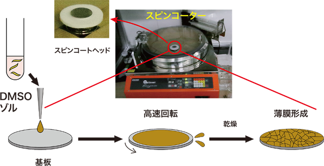 「プレスリリース中の図2 : 酸化チタンナノシートゾルをシリコン基板上でスピンコートした様子。基板上でゾルの薄い層ができ、その厚みが徐々に薄くなることによって、干渉色が変化していき、最終的に乾燥する。下段はナノシートの稠密配列のメカニズムを示す模式図。」の画像