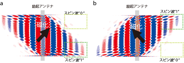 「プレスリリース中の図2 : 磁場を使わないときのスピン波の伝搬。 (a) 磁化が右上を向いている状態では細線の上端ではスピン波が存在せず、下端でスピン波が存在する。 (b) 磁化が左上を向いている状態では、スピン波の存在する領域が反転する。」の画像