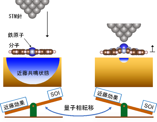 「プレスリリース中の図2 : STMを使った分子の構造変化によって引き起こされる量子相転移STMの針が鉄フタロシアニン分子の鉄原子に近づくと、鉄原子が持ち上げられ、近藤効果がスピン軌道相互作用 (SOI) に対して弱められる。このため、近藤効果による量子多体状態からスピン軌道相互作用による異方的なスピン状態に量子相転移が起こる。」の画像