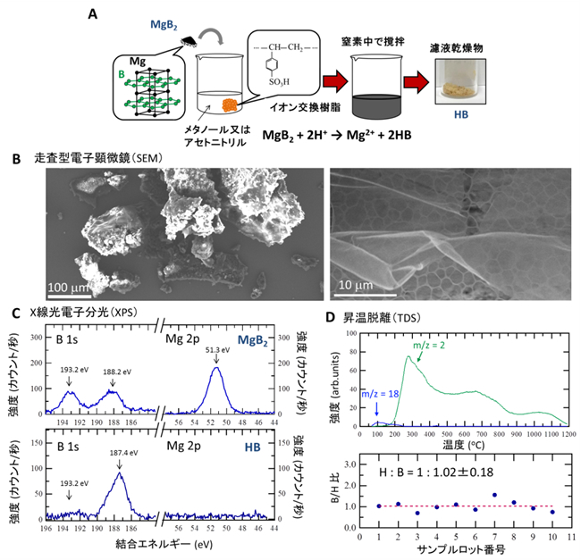 「プレスリリース中の図1 : ホウ化水素 (HB) シートに関する (A) 生成方法の模式図、 (B) 走査型電子顕微鏡像、 (C) X線光電子分光スペクトル、 (D) 昇温脱離測定結果と算出したB/H比」の画像