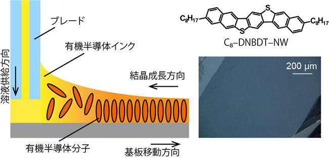 「プレスリリースの図1 :  (左) 有機半導体インクから大面積単結晶薄膜を塗布製膜する手法の概要図。 (右) 高移動度有機半導体材料の構造式と2次元単結晶領域の偏光顕微鏡写真。」の画像