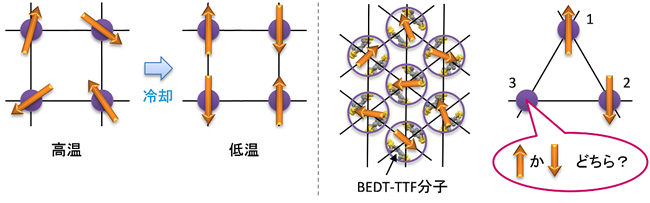 「プレスリリース中の図1 :  (左) 磁性体内部での電子スピンの様子。紫色の丸が原子を、橙色の矢印がその原子の電子のスピンを示しています。原子上にいる電子のスピンは、高温では熱的に揺らいでおり、バラバラな方向を向いています (スピン液体状態) 。磁性体を冷却して熱揺らぎを小さくすると、スピンは向きを揃えて整列して秩序を作ります (スピン固体状態) 。この図では、隣り合うスピン同士を反対向きに揃えようとする相互作用 (反強磁性的相互作用) を想定しています。 (右) 量子スピン液体になる有機物質κ-(BEDT-TTF)2Cu2(CN)3の結晶構造の模式図。紫色の丸で囲んだ二つの平板状のBEDT-TTF有機分子 (二量体) 上に1つのスピンがあり、二量体が三角形の幾何学的配置をとっています。単純に、スピンを三角形の頂点に配置したとき、1, 2番目のスピンの向きを決めると、3番目のスピンの向きが決まらなくなります。このスピンの三角関係 (スピンフラストレーション) により、極低温でさえスピンの向きが揃わず、スピンが自由に動き回れる不思議な液体状態 (スピン液体状態) が生じると考えられています。」の画像