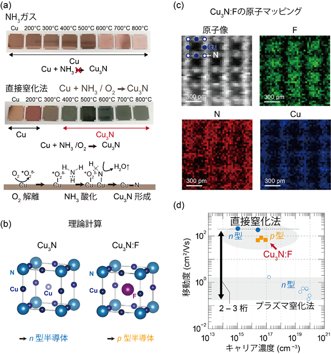 「プレスリリース中の図 : (a) NH3/O2ガスを使った銅の直接窒化法とその反応原理 (b) 第一原理計算による予測。格子の空隙にFが入るとp型半導体、Cuが入るとn型半導体 (c) Cu3N:Fの原子マッピング像 (緑 : F、赤 : N、青 : Cu) 。理論予測通りにF原子は格子の空隙に存在 (d) 直接窒化法で作製したp型、n型Cu3N薄膜の移動度とキャリア濃度」の画像