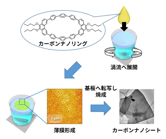 「カーボンナノリングを用いたカーボンナノシートの合成」の画像