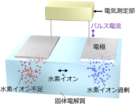 「プレスリリース中の図1 : 水素イオンの移動による電気化学現象を利用して学習と判断を行う意思決定イオニクスデバイスの概略図。」の画像