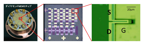 「プレスリリース中の図 : 開発したダイヤモンドMEMSチップ全体と、ダイヤモンドカンチレバーの顕微鏡写真」の画像