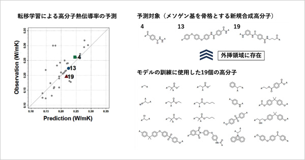 「プレスリリース中の図 : 転移学習による高分子物性 (熱伝導率) の予測。高分子熱伝導率の19件の訓練データを用いて、XenonPy.MDLの高分子のガラス転移温度、低分子化合物の比熱容量等の訓練済みモデルを転移し、外挿性を持つ予測モデルを構築することに成功」の画像