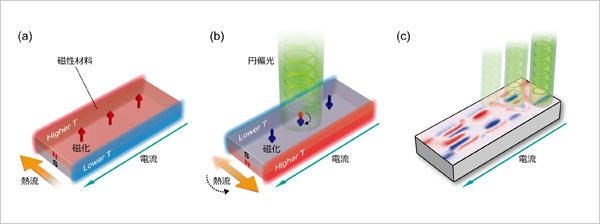 「プレスリリース中の図 : 光照射による電流-熱流変換の制御」の画像