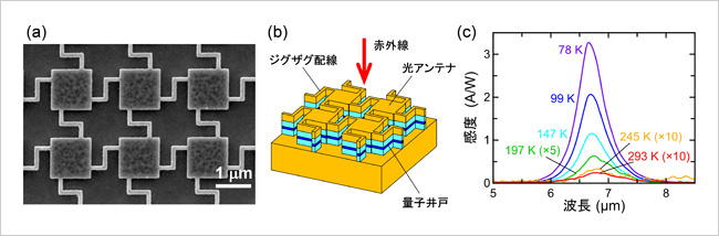 「プレスリリース中の図 : (a) 開発した赤外線検出器の走査電子顕微鏡写真。(b) 構造の説明図。中央に量子井戸層を有する半導体層の上下を金で挟み込んでいる。(c) 様々な検出器温度での感度スペクトル。」の画像
