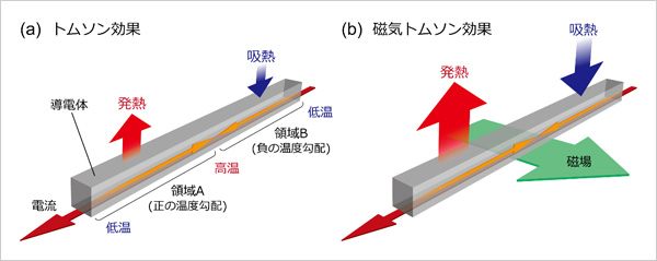 「プレスリリース中の図 : トムソン効果および磁気トムソン効果の概念図」の画像