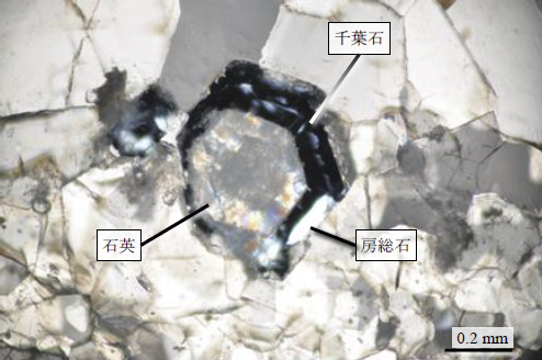 「プレスリリース中の図 : 房総石 (白く明るい部分) と千葉石 (真っ黒な部分) の偏光顕微鏡写真。周辺のクリーム色から灰色の部分は方解石。」の画像