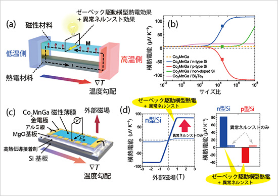 「プレスリリース中の図 : (a) ゼーベック駆動横型熱電効果の概念図。熱電材料のゼーベック効果によるキャリアの流れを磁性材料に流し込むことで、大きな横熱電効果が実現されます。(b) ゼーベック駆動横型熱電効果の理論モデルによって計算した横熱電能と熱電材料と磁性材料のサイズ比依存性。実線は計算値、データ点は実験値を示しています。(c) 作製した試料構造と、(d) 実験の結果得られたCo2MnGa単体の異常ネルンスト効果による熱電能とCo2MnGa-Si複合構造におけるゼーベック駆動横型熱電効果による横熱電能の比較。」の画像