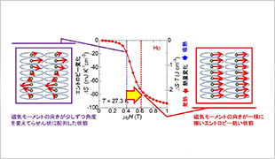 希土類ホルミウム金属Hoに弱磁場をかけた際のエントロピー変化
