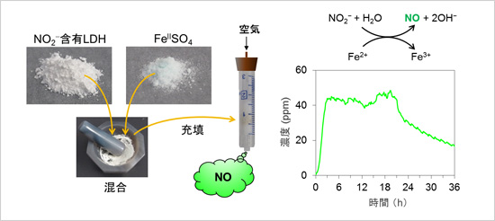「プレスリリース中の図 : 今回開発した使い捨て型のNO発生器と、それを用いたNO発生の例。[Adapted with permission from Inorg. Chem. (DOI: 10.1021/acs.inorgchem.1c00456). Copyright (2021) American Chemical Society.]」の画像