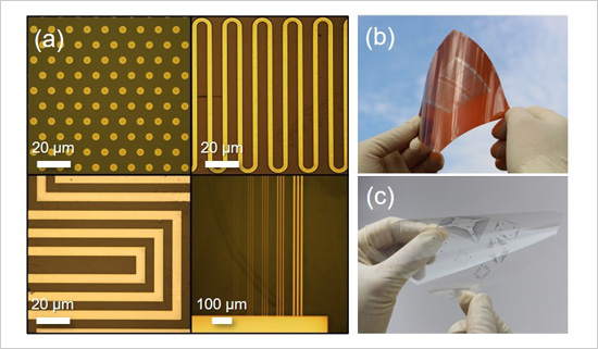 「プレスリリース中の図 : (a) 「2元表面アーキテクトニクス」で印刷した微細パターン。(b,c) ポリイミドおよび透明フィルム上に印刷した回路。」の画像