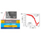 (画像左) LCSSをゲート絶縁層に用いた全印刷TFT。(画像右) 全印刷TFTの電気特性