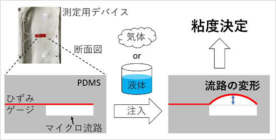 「プレスリリース中の図 : 本手法による粘度決定までの大まかな流れ。」の画像