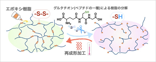 「プレスリリース中の図1 : 今回開発したエポキシ樹脂のリサイクルシステム」の画像