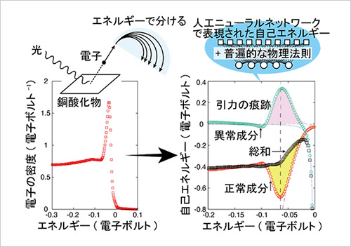「プレスリリース中の図 : 銅酸化物についての1つの光電子分光データ(左図)から、足りない情報を普遍的な物理法則で補って人工ニューラルネットワークを最適化し、自己エネルギーの2つの成分(右図)を決定。」の画像