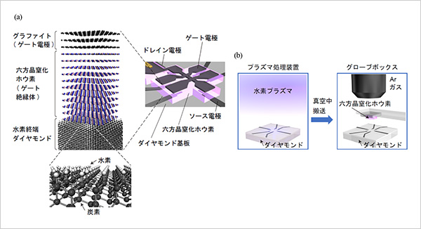 「プレスリリース中の図 :  (a) 本研究で作製したダイヤモンド電界効果トランジスタの構造。正孔の密度と移動度を正確に評価するために、ゲート電圧をかけながらホール(Hall)効果の測定が可能な構造にしました。(b) ダイヤモンド表面を水素プラズマに晒して水素終端化したあと、大気に晒さずArで満たされたグローブボックスに搬入し、そのなかで劈開した六方晶窒化ホウ素単結晶薄片を貼り付けることで、アクセプタとして働く大気由来の吸着物を低減しました。」の画像