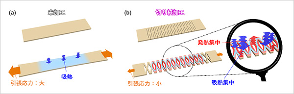 「プレスリリース中の図 : (a) 弾性熱量効果による温度変調. (b) 切り紙加工で作成した温度変調素子」の画像