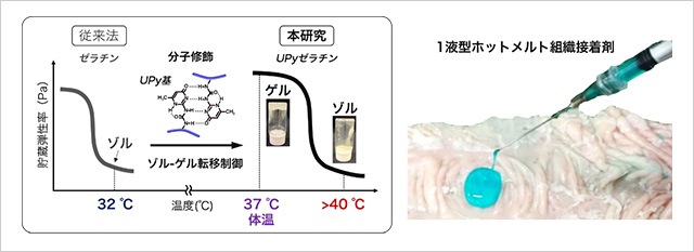 「プレスリリース中の図 : 1液型ホットメルト組織接着剤の材料設計とイメージ」の画像