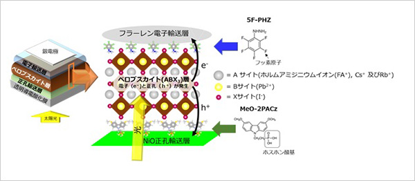 「プレスリリース中の図 : ペロブスカイト太陽電池、デバイス構造と各界面に導入された分子の模式図」の画像