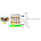 ペロブスカイト太陽電池、デバイス構造と各界面に導入された分子の模式図