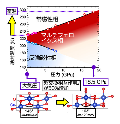 「プレスリリース中の図 : 加圧により銅イオンが酸化物イオンを挟みこむ角度が増加し、酸化銅の磁気的相互作用が強まります。これにより、室温でマルチフェロイクス状態を安定化できることを実験的に実証しました。」の画像