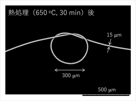 「プレスリリース中の図 : 650℃の反応熱処理後に作った結び目の電子顕微鏡写真」の画像