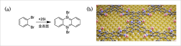 「プレスリリース中の図 : (a) 本研究で開発した表面化学反応。(b) 合成したケイ素を含むCOF膜の概略図。Br : 臭素原子 (赤球) 、Si : ケイ素原子 (紫球) 、炭素原子 (黒球) 、水素原子 (白球) 、基板の金原子 (金球) 。」の画像