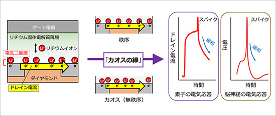 「プレスリリース中の図 : 本研究で開発した脳型情報処理素子の模式図。」の画像