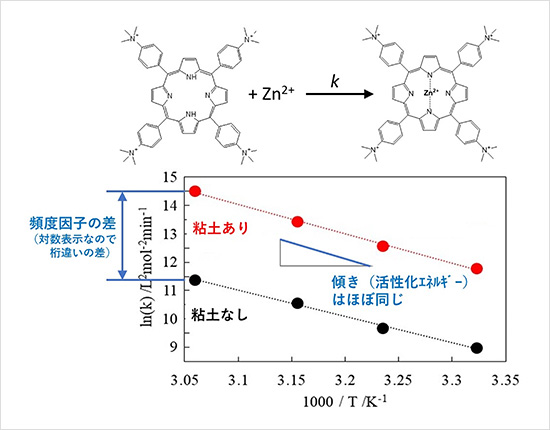 「プレスリリース中の図 :上 : PORが亜鉛イオンを取り込む反応、下 : PORが亜鉛イオンを取り込む反応の速度定数 (k) の温度依存性。傾きから活性化エネルギー、縦軸切片から頻度因子の情報が得られます。」の画像
