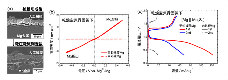 「プレスリリース中の図 :(a) 人工被膜を被覆したマグネシウム金属断面の電子顕微鏡像。電圧電流測定後の断面観察から、被膜を介してマグネシウム金属が溶解していることが分かります。(b,c) 乾燥空気雰囲気下における亜鉛被覆および未処理マグネシウムの、(b) 電圧電流応答、ならびに、(c) これらを負極に用いたマグネシウム金属蓄電池の充放電試験結果。」の画像
