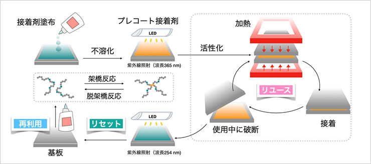 「プレスリリース中の図 :使用中に破断しても何度でもリユースすることができ、役目が終わったらリセット・再利用できる接着剤の概略図」の画像