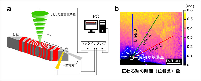 「プレスリリース中の図 : (a)新手法のシステム構成図と(b)多結晶窒化アルミニウムで伝わる熱の時間 (位相差) 像。」の画像
