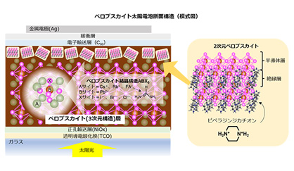 ペロブスカイト太陽電池の断面とペロブスカイト結晶構造の模式図