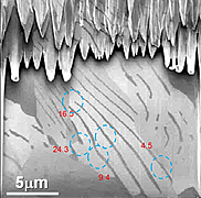Three-dimensional visualization of cementite lamellae
