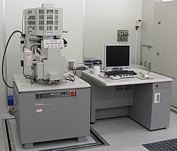 Field emission–scanning electron microscope(FE–SEM)