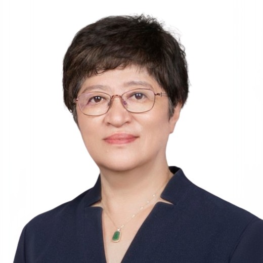 Prof. Lifeng ChiSoochow University, China